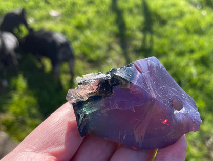 Ensemble ANDARA ~ Terre de Dragon  ~ 454 g  | Tarif préférentiel - Travailleur de la Lumière