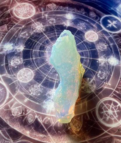 Baby ANDARA Lignée des origines 15 g