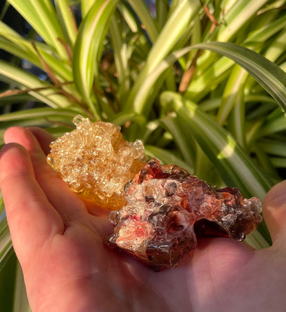 Duo ANDARA Sunrise ~ 87 g  | Collection personnelle