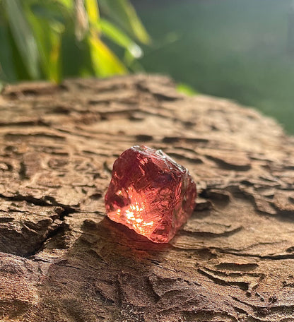 Baby ANDARA cendres de Rose • 15 g | premiers pas