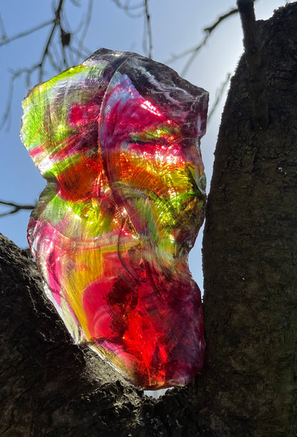 ANDARA Rainbow Warrior ~ 505 g | Collection personnelle