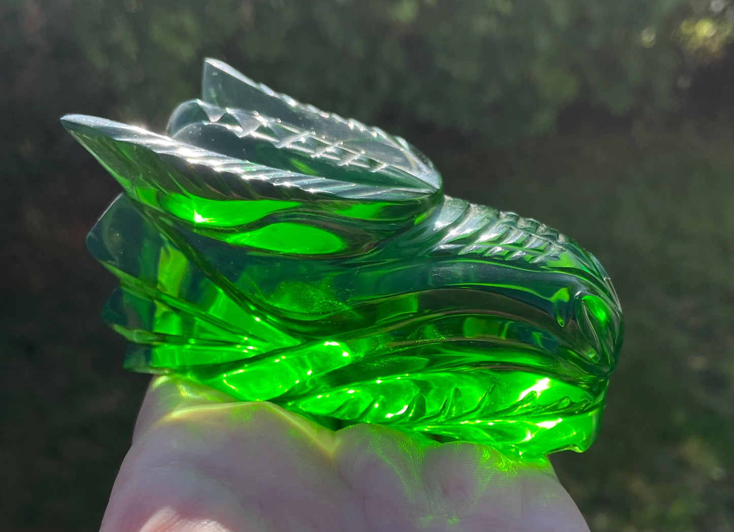 Crâne de Dragon ANDARA - 405 g |Collection perso