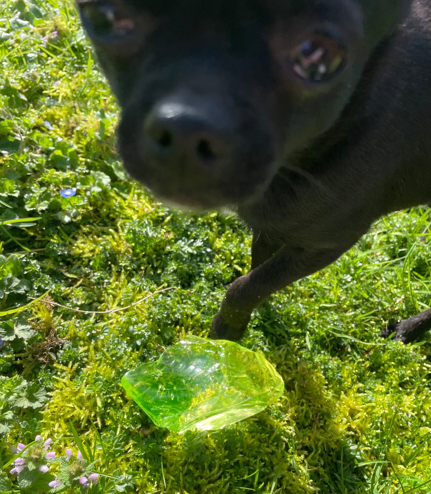 Très rare ANDARA ~ Electric green ~ 191 g | Collection personnelle et... sacrée ^^