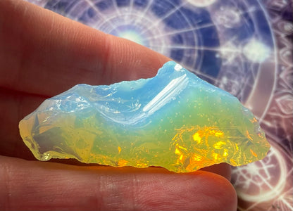 Baby ANDARA Lignée des origines 15 g