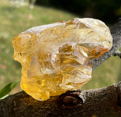 ANDARA Français Golden Solaris 142 g / cristal 5D / 777 •