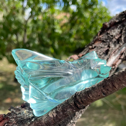 Crâne Dragon Aqua Retour à Soi ~ 231 g | Collection personnelle