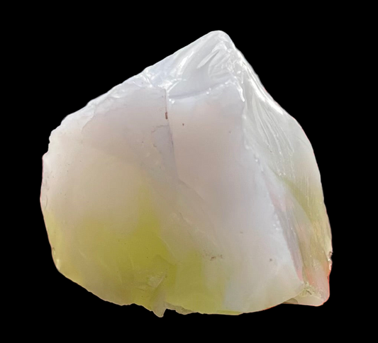 ANDARA Ondine des Marais 57 g