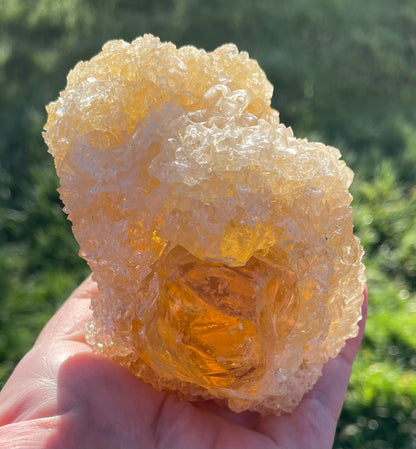 ANDARA Soleil de LeMUria  ~ 495 g | Collection personnelle