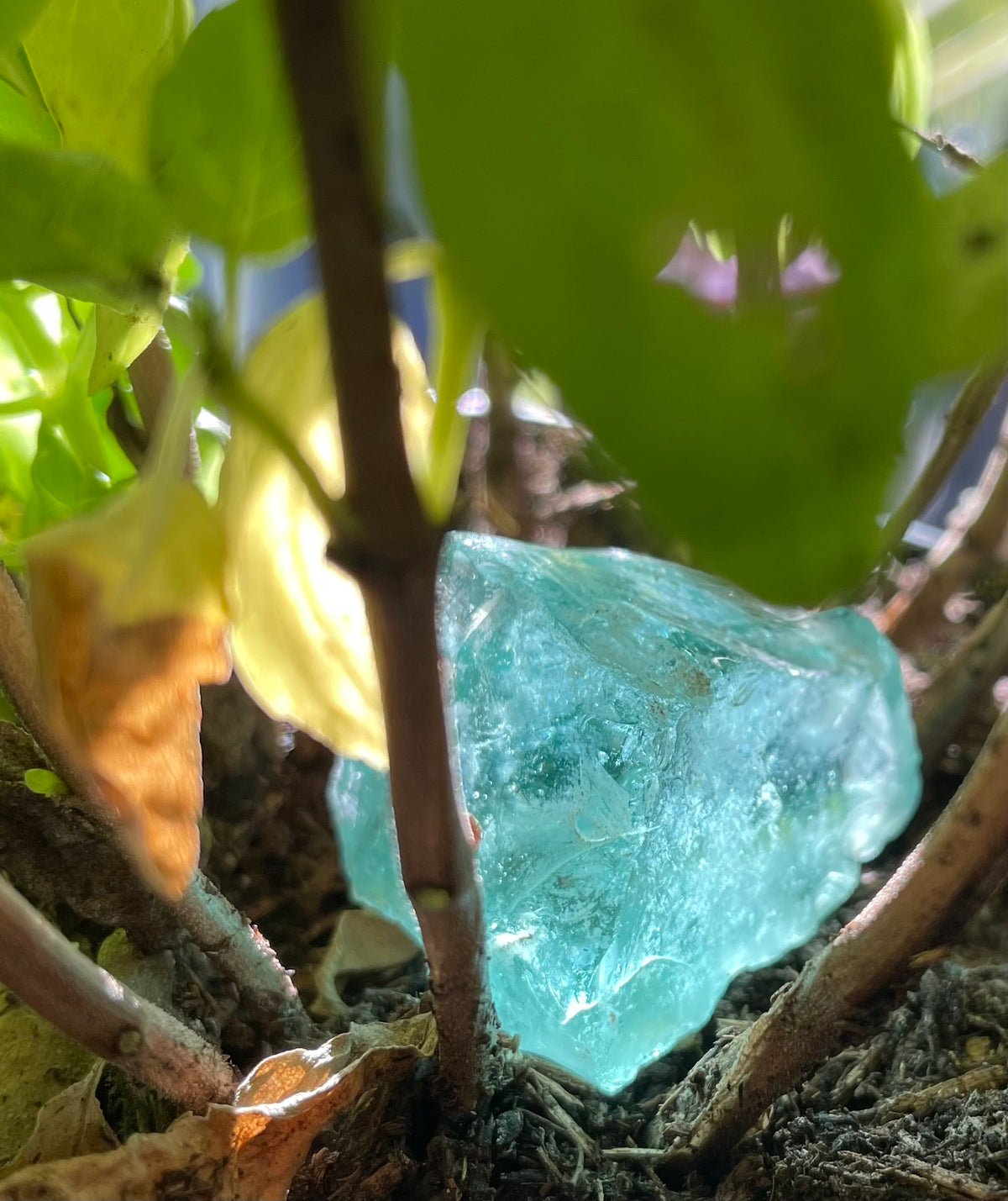 Baby ANDARA Africain Tanzania / 19 g