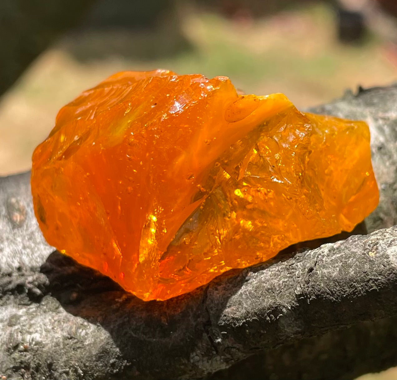 ANDARA Oeil de Cobra 41 g | Cristal 5D / 777 •