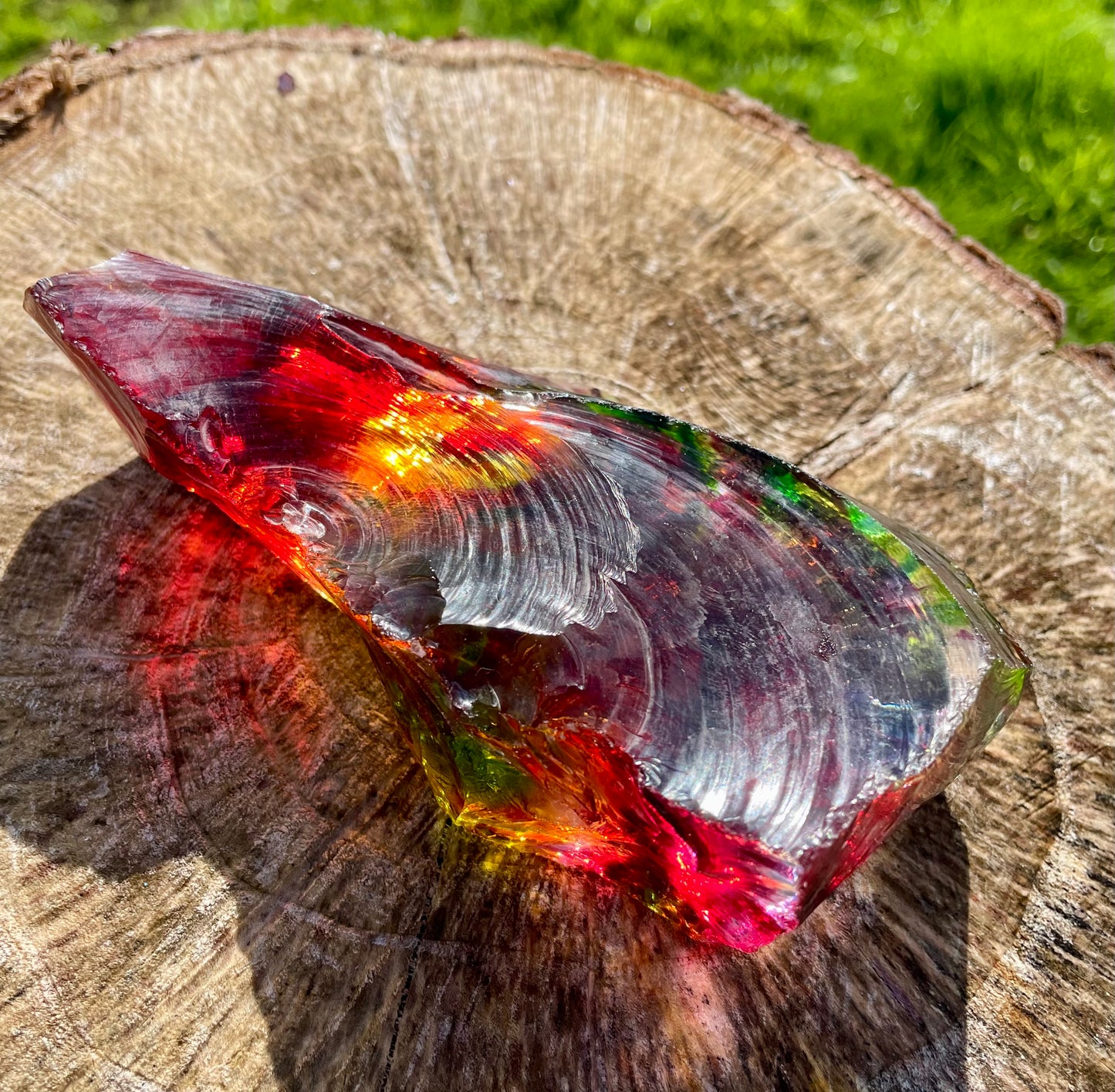 ANDARA Rainbow Warrior ~ 505 g | Collection personnelle