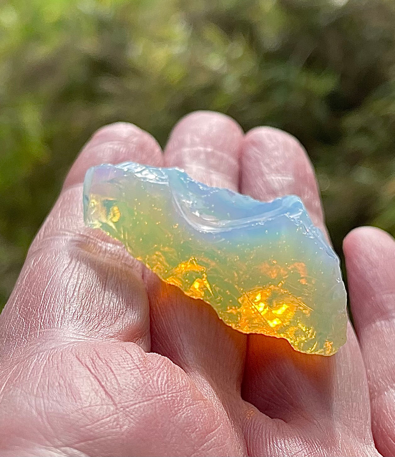 Baby ANDARA Lignée des origines 15 g