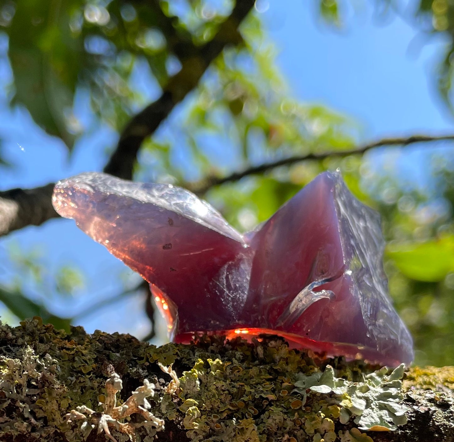 ANDARA Français Dragon Imperial  | 34 g  / 777 cristal 5D •