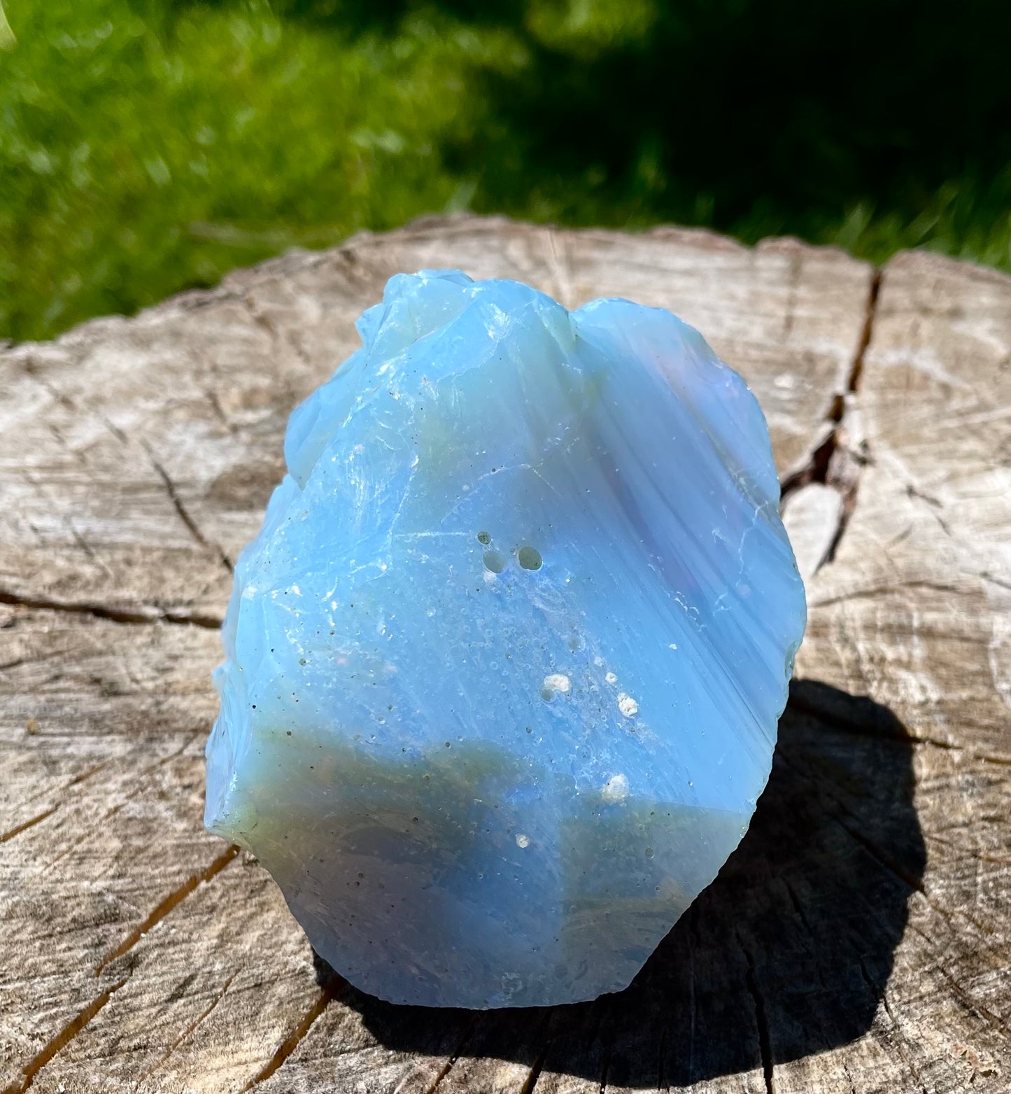 ANDARA ~ Lignée des origines ~ 358 g  | La Magie des Andaras