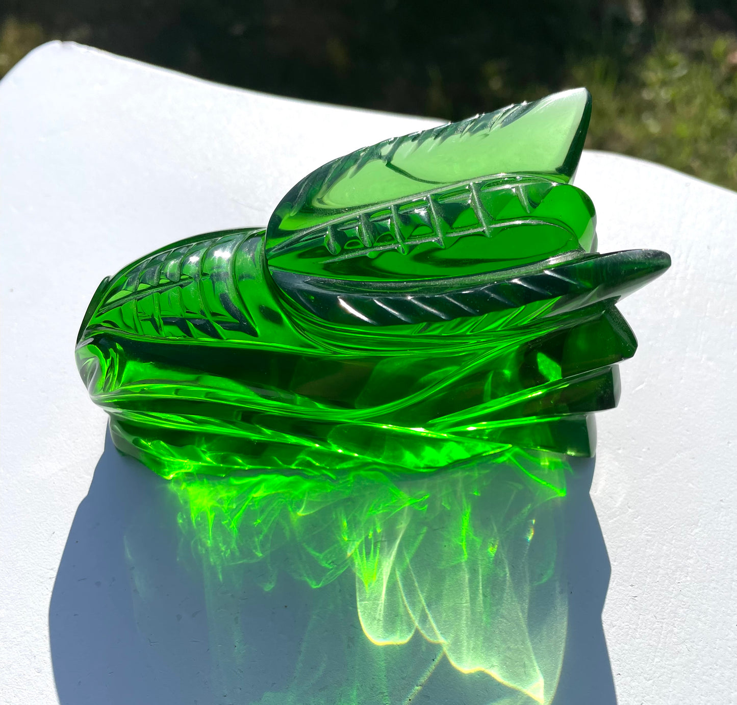 Crâne de Dragon ANDARA - 405 g |Collection perso