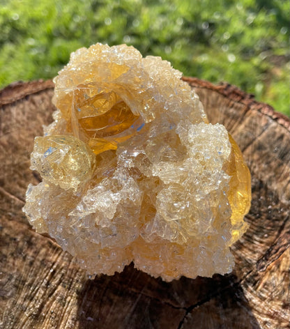 ANDARA Soleil de LeMUria  ~ 495 g | Collection personnelle