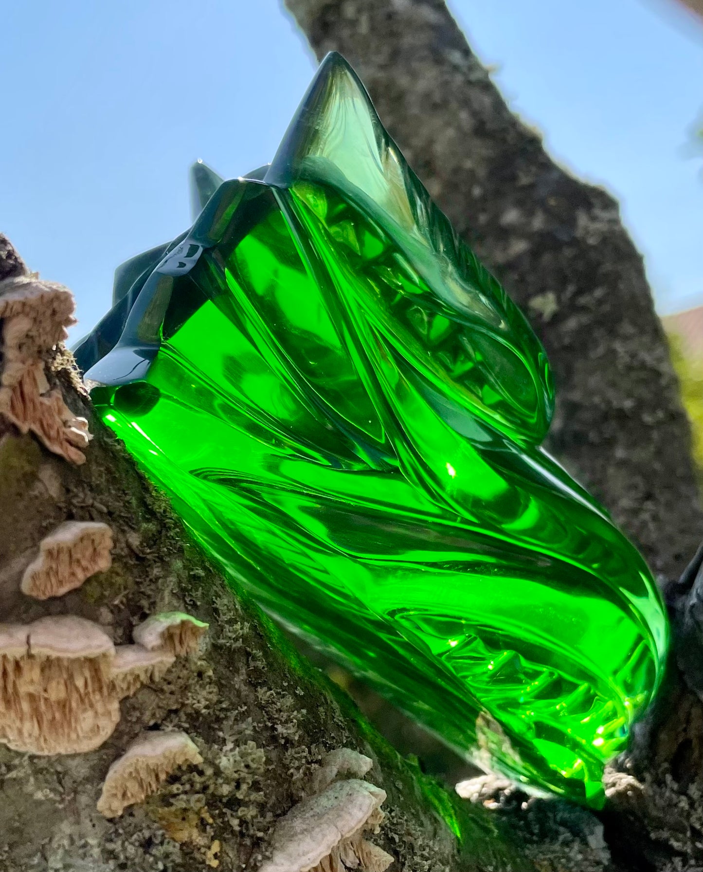 Crâne de Dragon ANDARA - 405 g |Collection perso