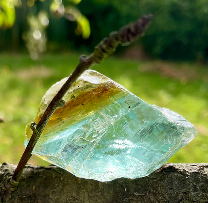 ANDARA Chamane des marais | 94 g | cristal 5D / 777 •