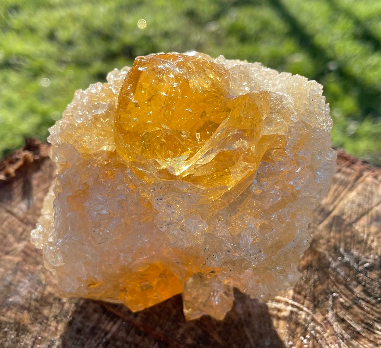 ANDARA Soleil de LeMUria  ~ 495 g | Collection personnelle