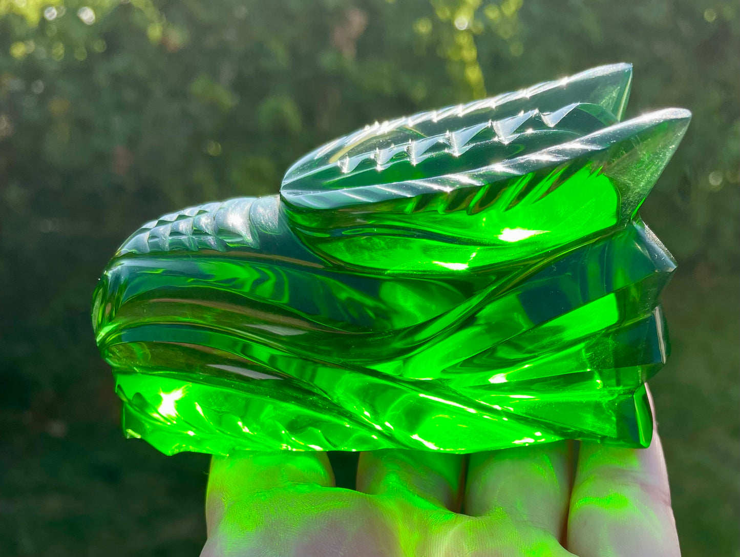 Crâne de Dragon ANDARA - 405 g |Collection perso