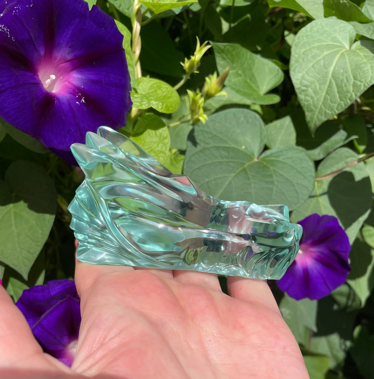 Crâne Dragon Aqua Retour à Soi ~ 231 g | Collection personnelle