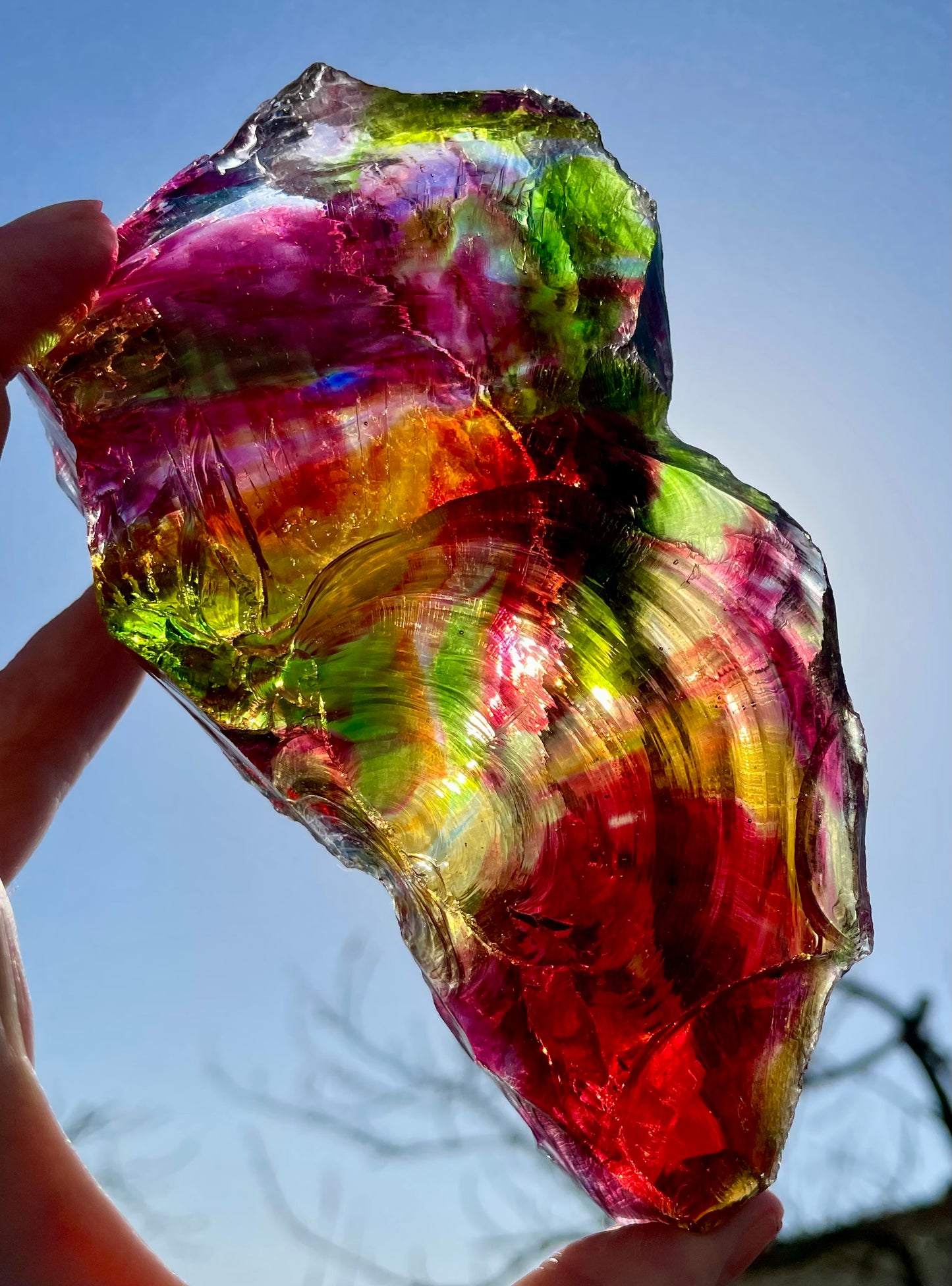 ANDARA Rainbow Warrior ~ 505 g | Collection personnelle