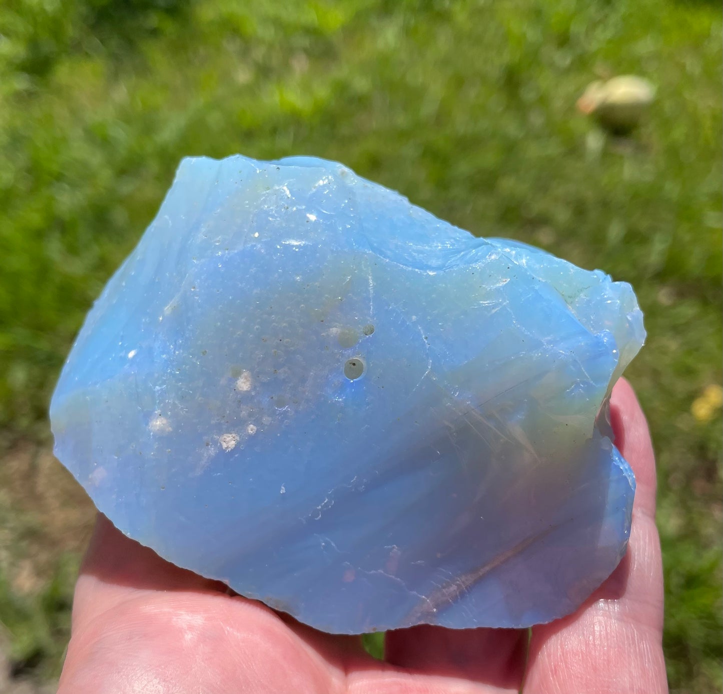 ANDARA ~ Lignée des origines ~ 358 g  | La Magie des Andaras