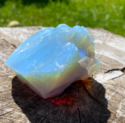 ANDARA ~ Lignée des origines ~ 358 g  | La Magie des Andaras
