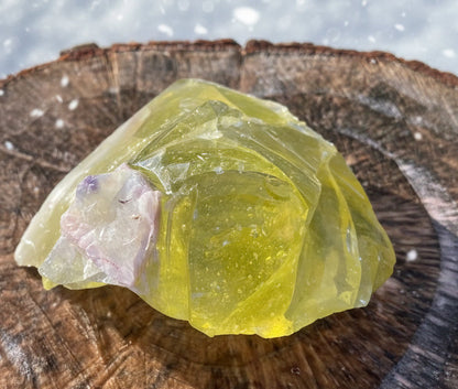 ANDARA Eglantine ~ 848 g | Collection personnelle