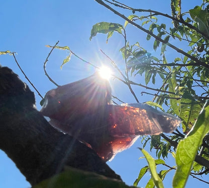 ANDARA Français Dragon Imperial  | 34 g  / 777 cristal 5D •