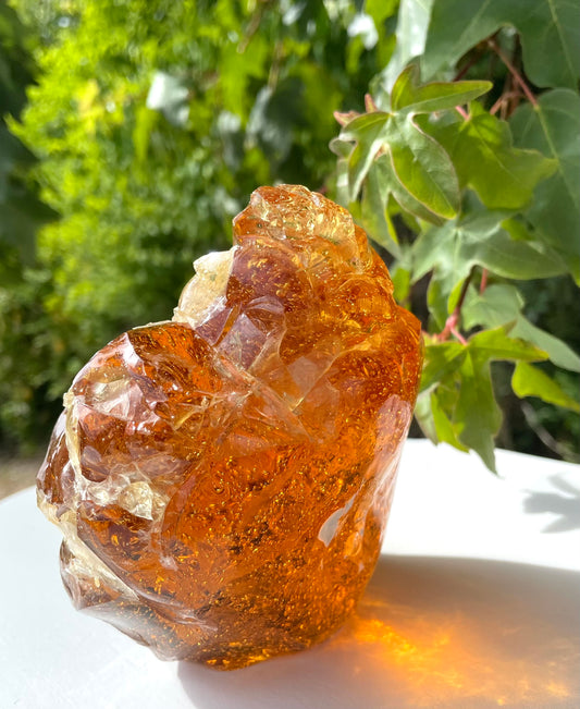 ANDARA Altar Français Narmia 922 g : tarif spécial