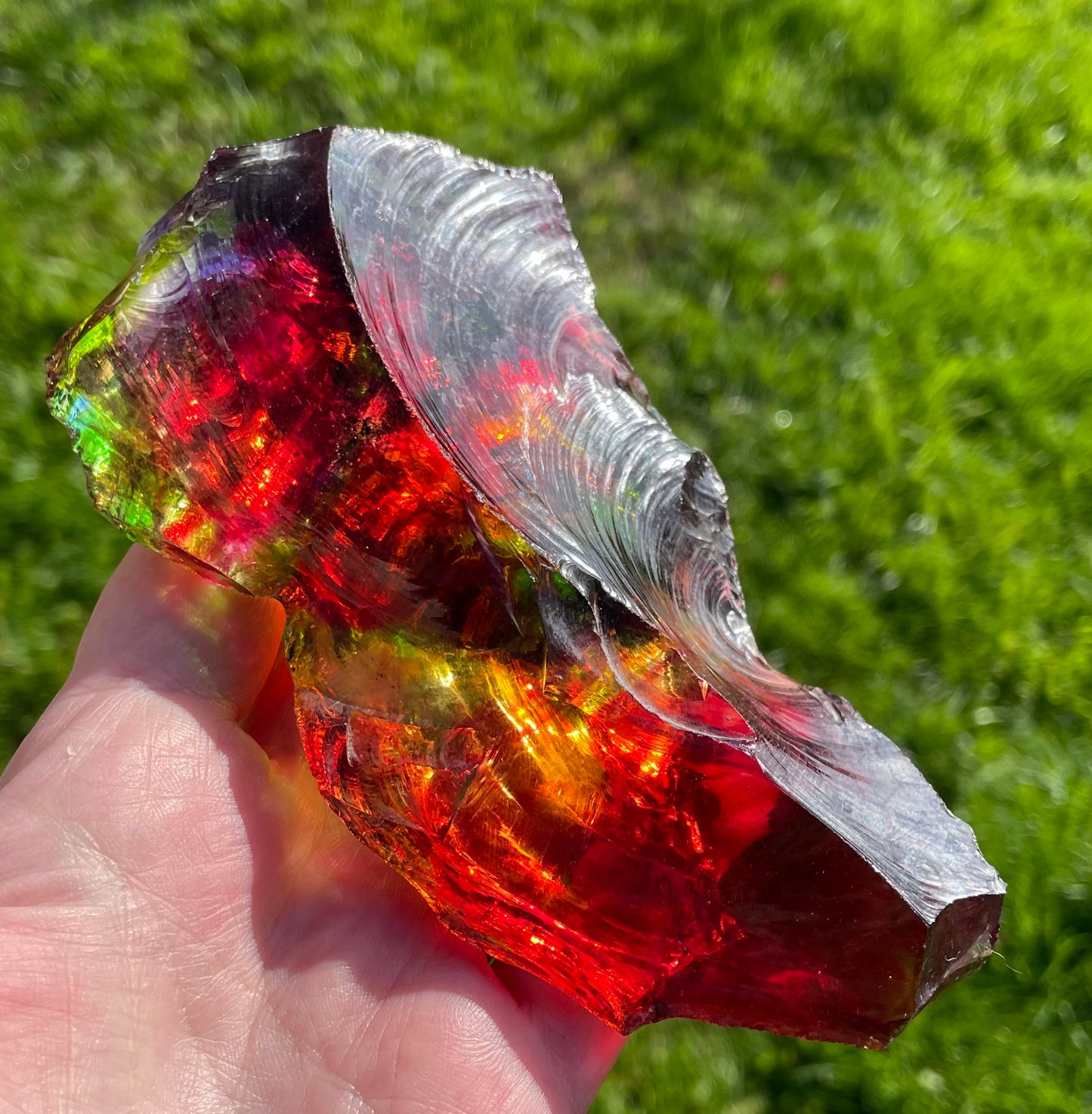 ANDARA Rainbow Warrior ~ 505 g | Collection personnelle