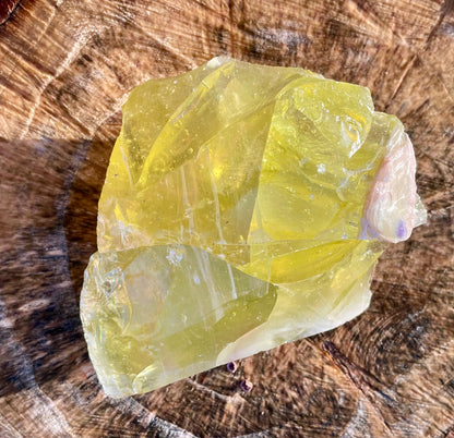 ANDARA Eglantine ~ 848 g | Collection personnelle