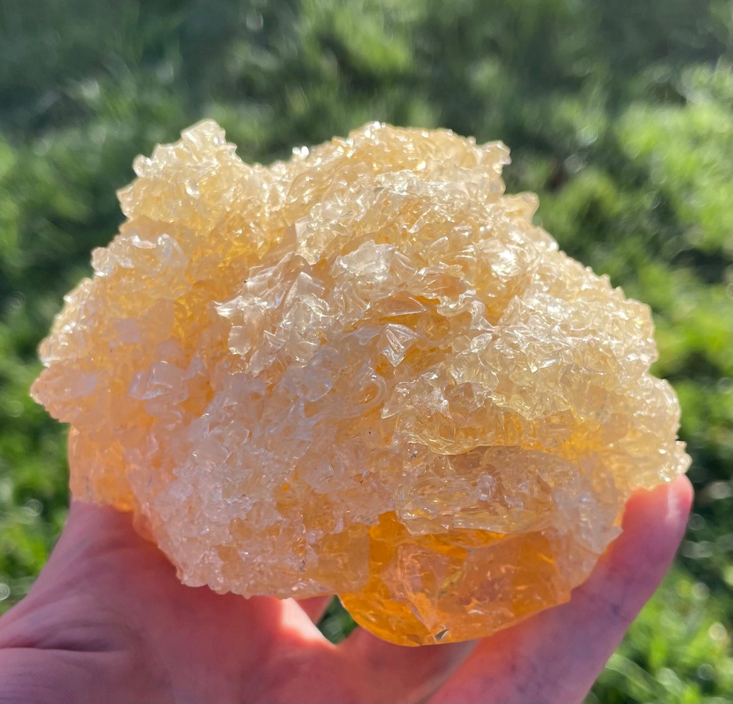 ANDARA Soleil de LeMUria  ~ 495 g | Collection personnelle