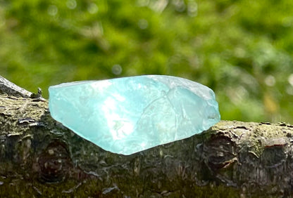 Baby Andara Africain - Recentrage ~ 9 g | La Magie des Andaras