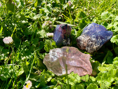 Ensemble ANDARA ~ Terre de Dragon  ~ 454 g  | Tarif préférentiel - Travailleur de la Lumière