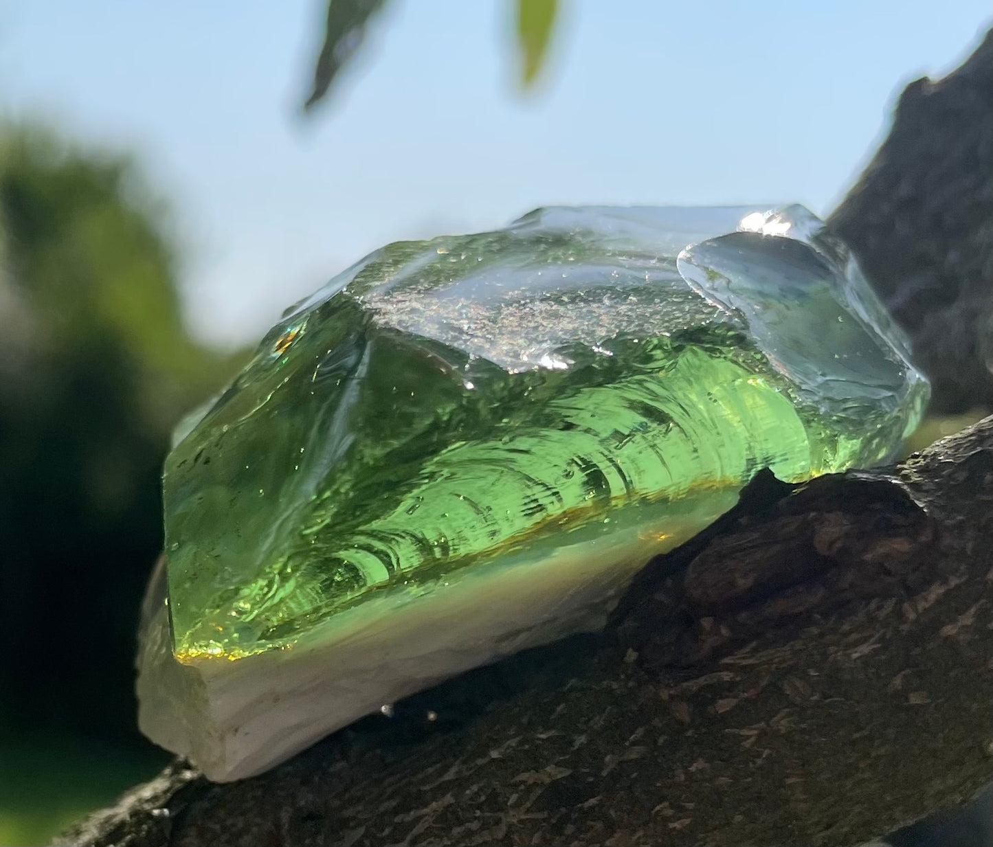 ANDARA Gaïa Amazonia | 61 g | cristal 5D / 777