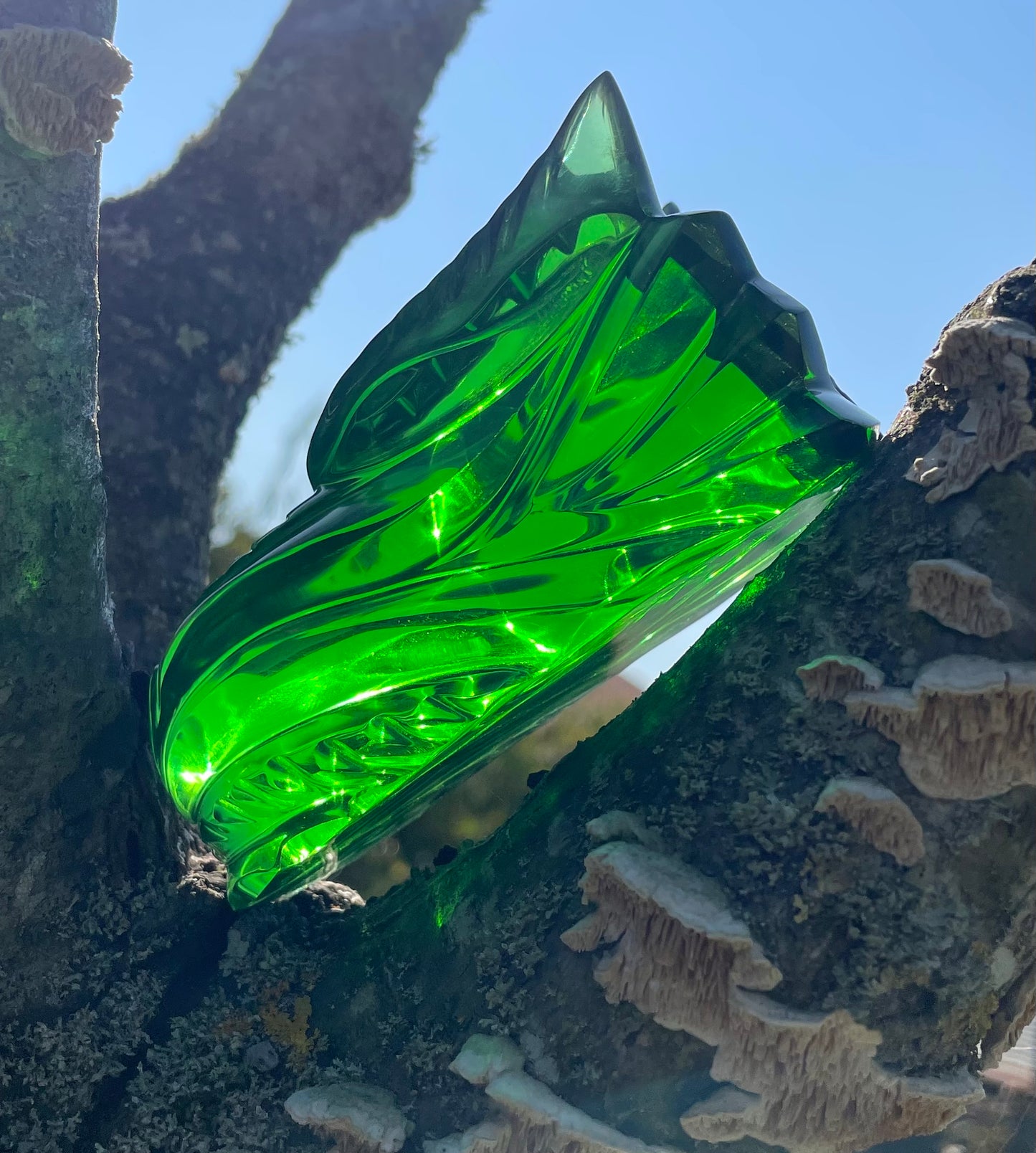 Crâne de Dragon ANDARA - 405 g |Collection perso