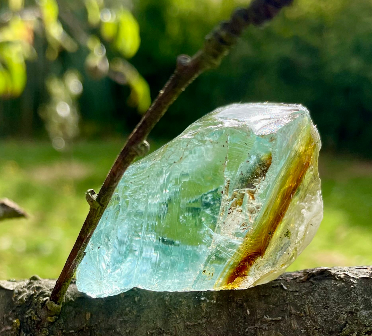 ANDARA Chamane des marais | 94 g | cristal 5D / 777 •