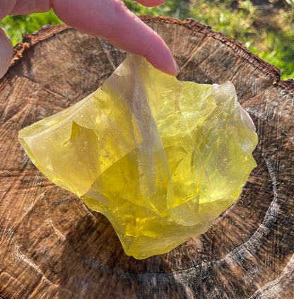 ANDARA Eglantine ~ 848 g | Collection personnelle