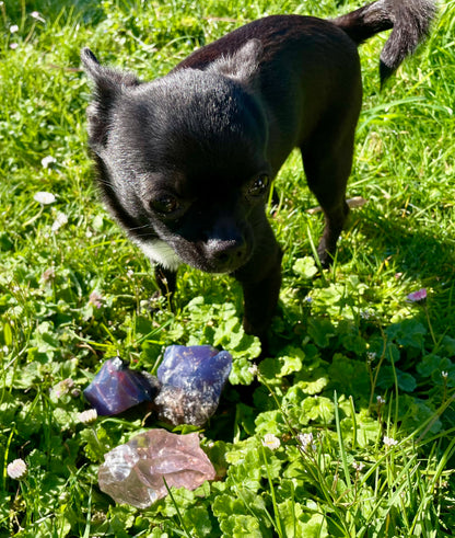 Ensemble ANDARA ~ Terre de Dragon  ~ 454 g  | Tarif préférentiel - Travailleur de la Lumière