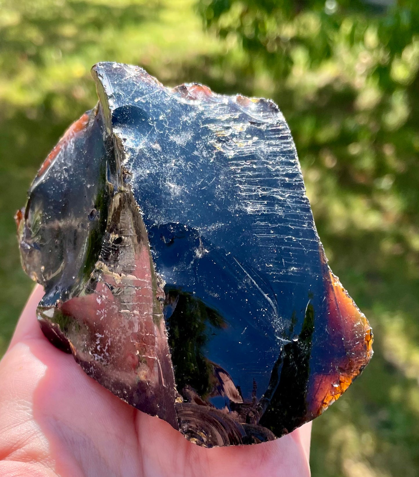 RARE Lot ANDARA Français et Elders Lady Nellie | 857 g / Tarif spécial