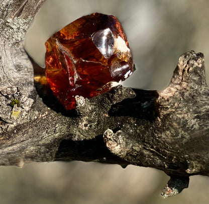 ANDARA Français Ambre de LéMUrie ~ 117 g | French crystal Andara