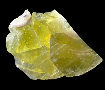 ANDARA Eglantine ~ 848 g | Collection personnelle