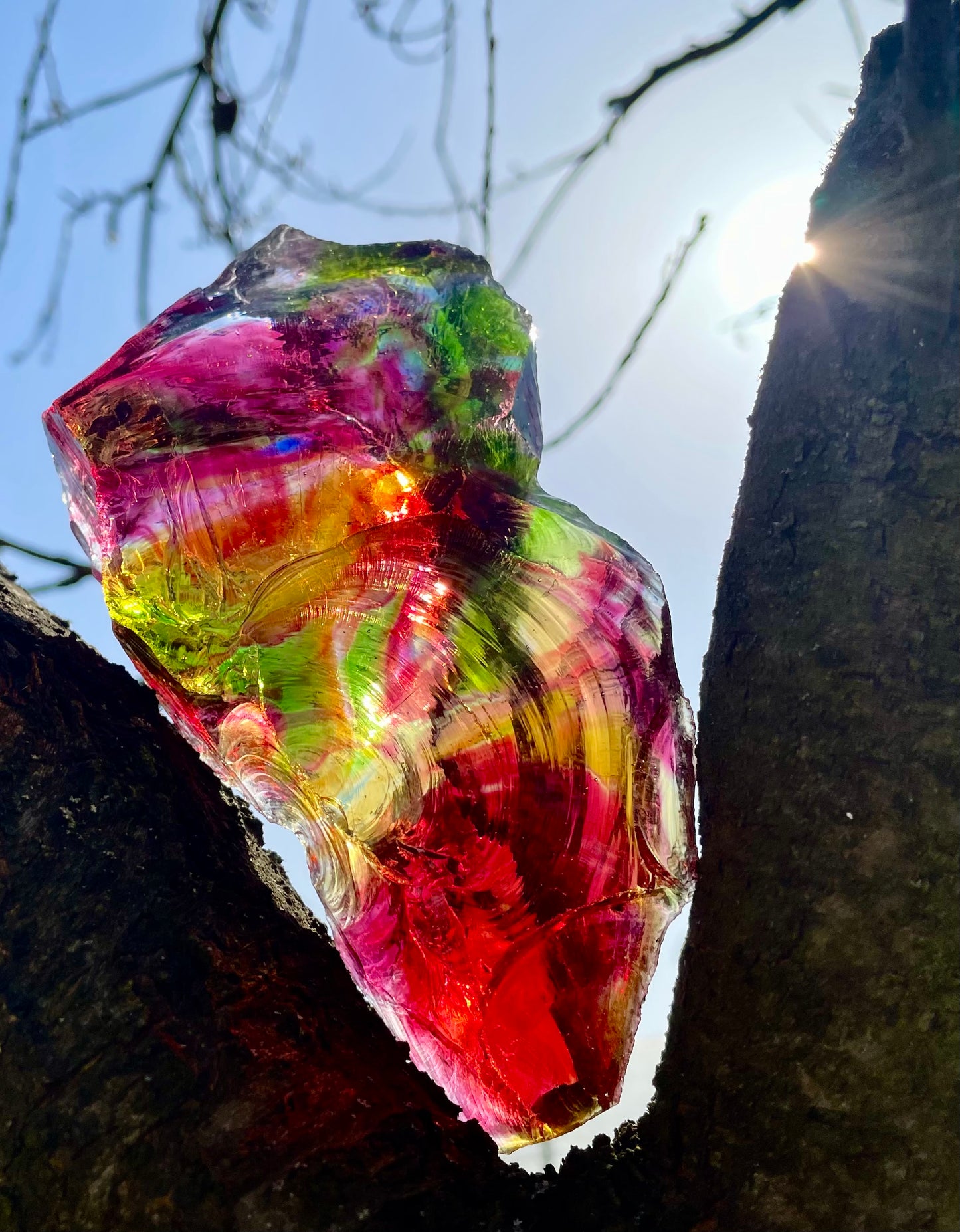 ANDARA Rainbow Warrior ~ 505 g | Collection personnelle