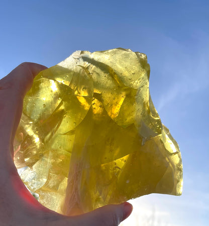 ANDARA Eglantine ~ 848 g | Collection personnelle