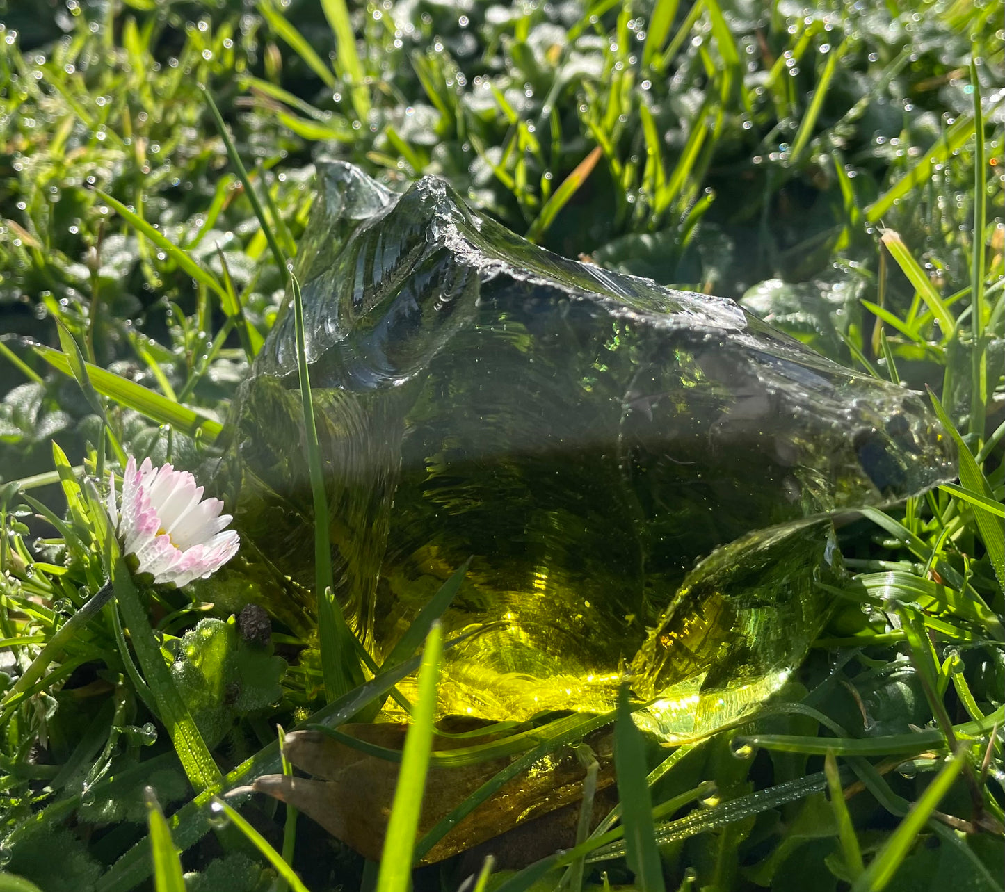 ANDARA Hathès ~ 500 g  | Tarif préférentiel - Travailleur de la Lumière