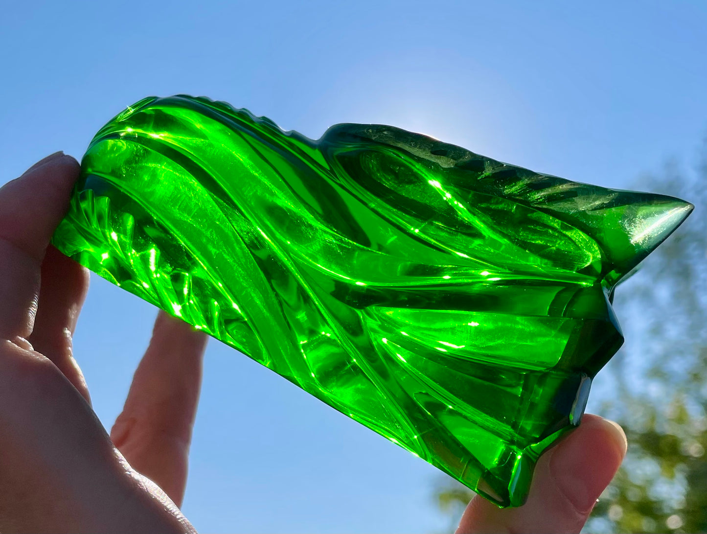 Crâne de Dragon ANDARA - 405 g |Collection perso