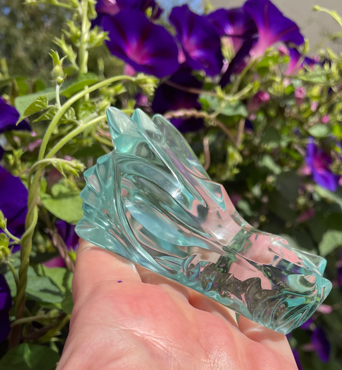 Crâne Dragon Aqua Retour à Soi ~ 231 g | Collection personnelle