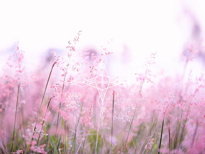 Séance d'écoute et de Présence